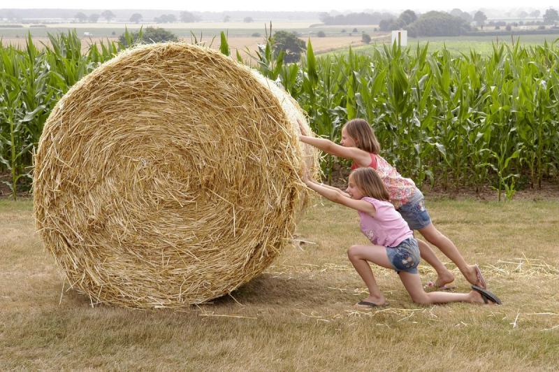 Straw bale race at York Maze